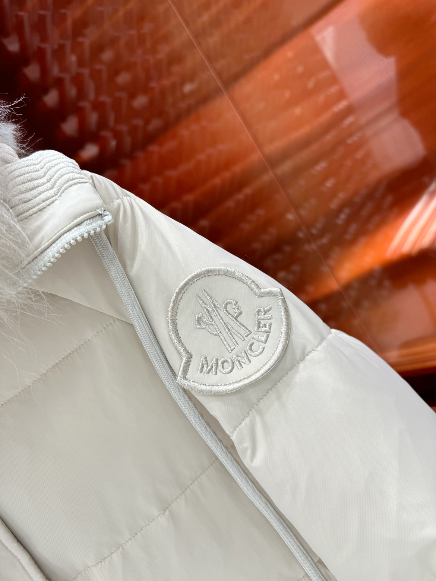 Moncler Down Jackets